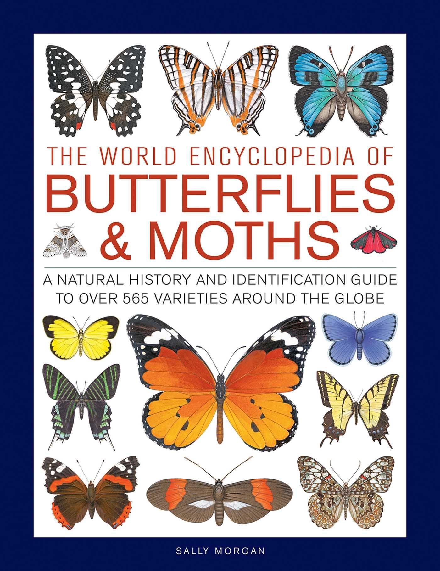 Vorderes Coverbild The World Encyclopedia of Butterflies & Moths