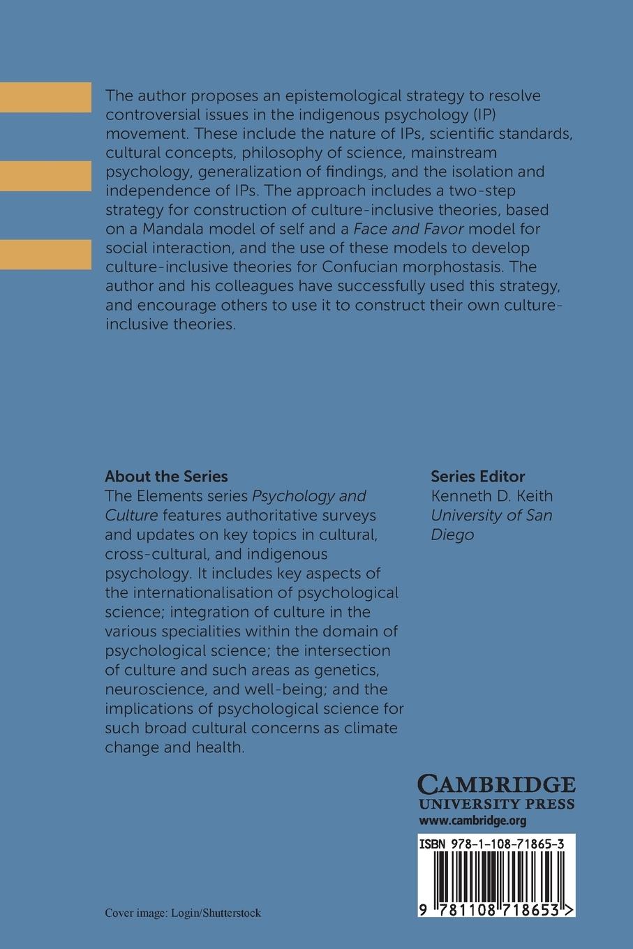 Rückseitencover Culture-Inclusive Theories