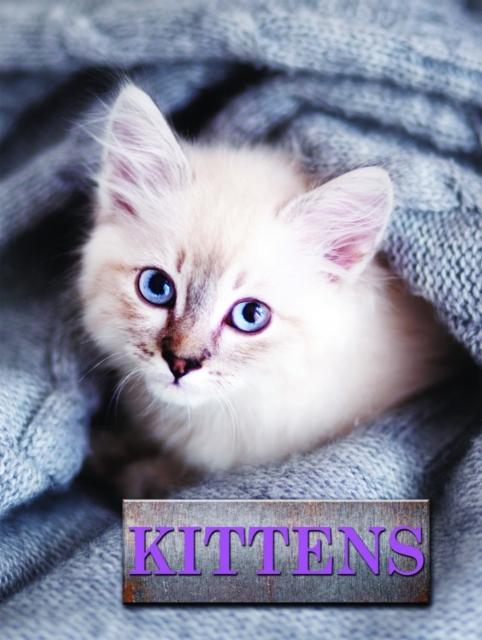 Vorderes Coverbild Kittens