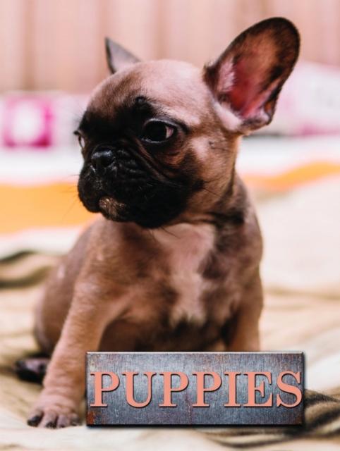 Vorderes Coverbild Puppies