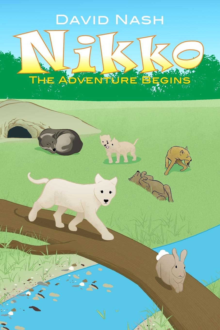 Vorderes Coverbild Nikko