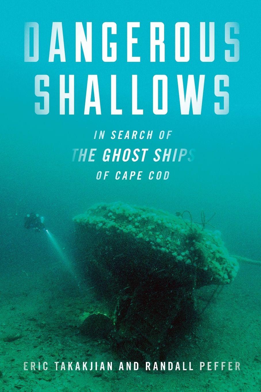 Vorderes Coverbild Dangerous Shallows