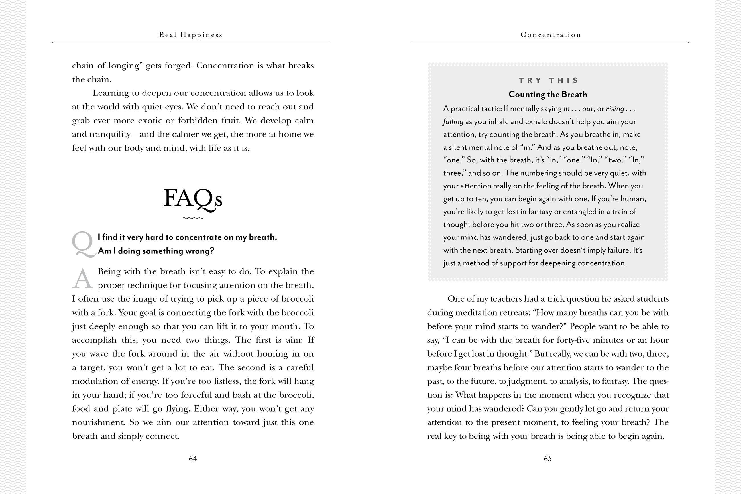 Beispielinhalt (Bild) Real Happiness. 10th Anniversary Edition