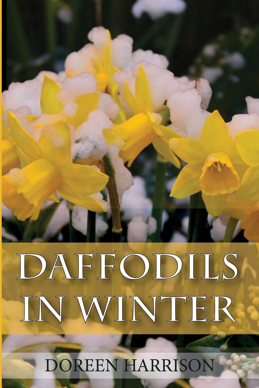 Vorderes Coverbild Daffodils in Winter