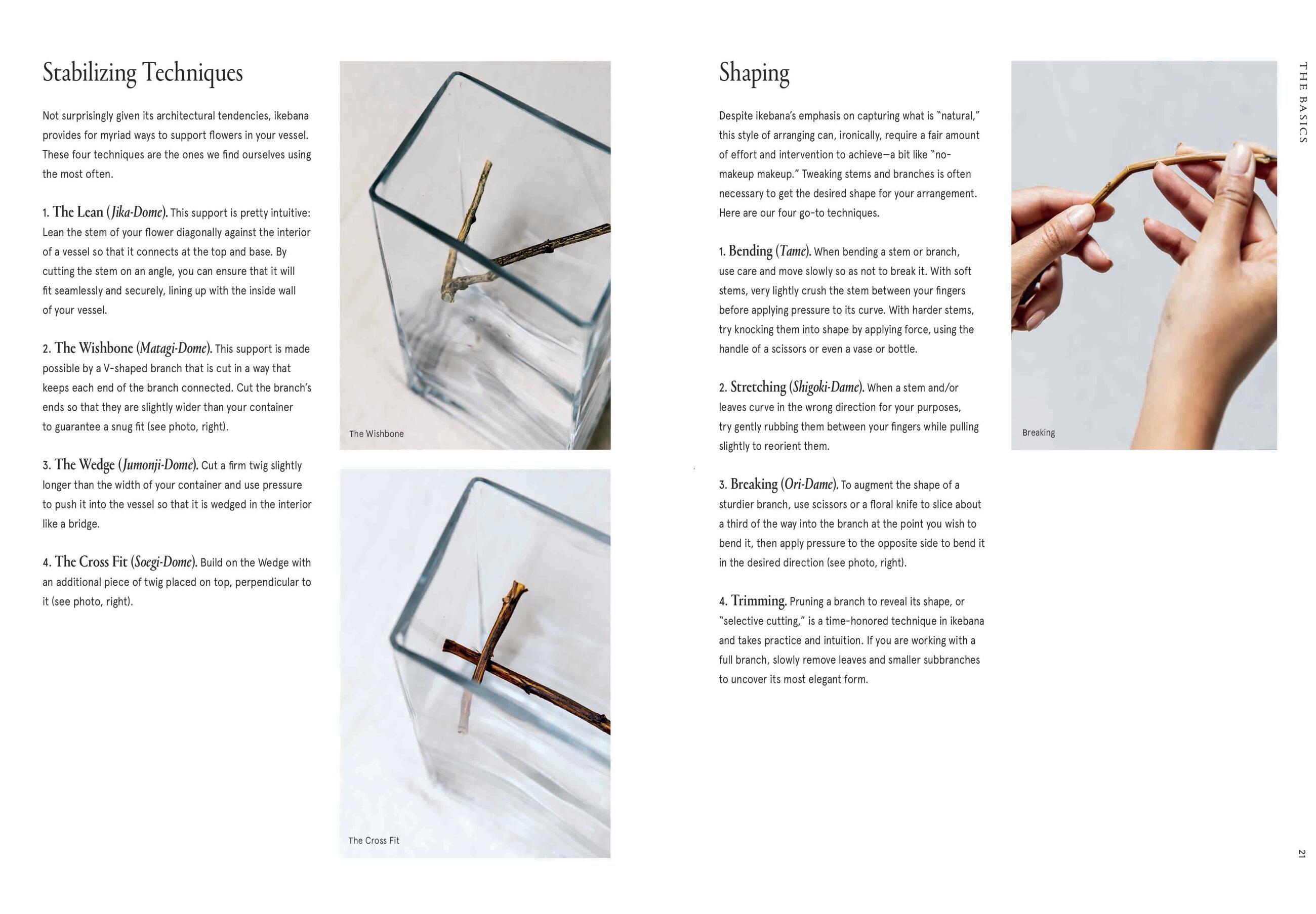 Beispielinhalt (Bild) Ikebana Unbound