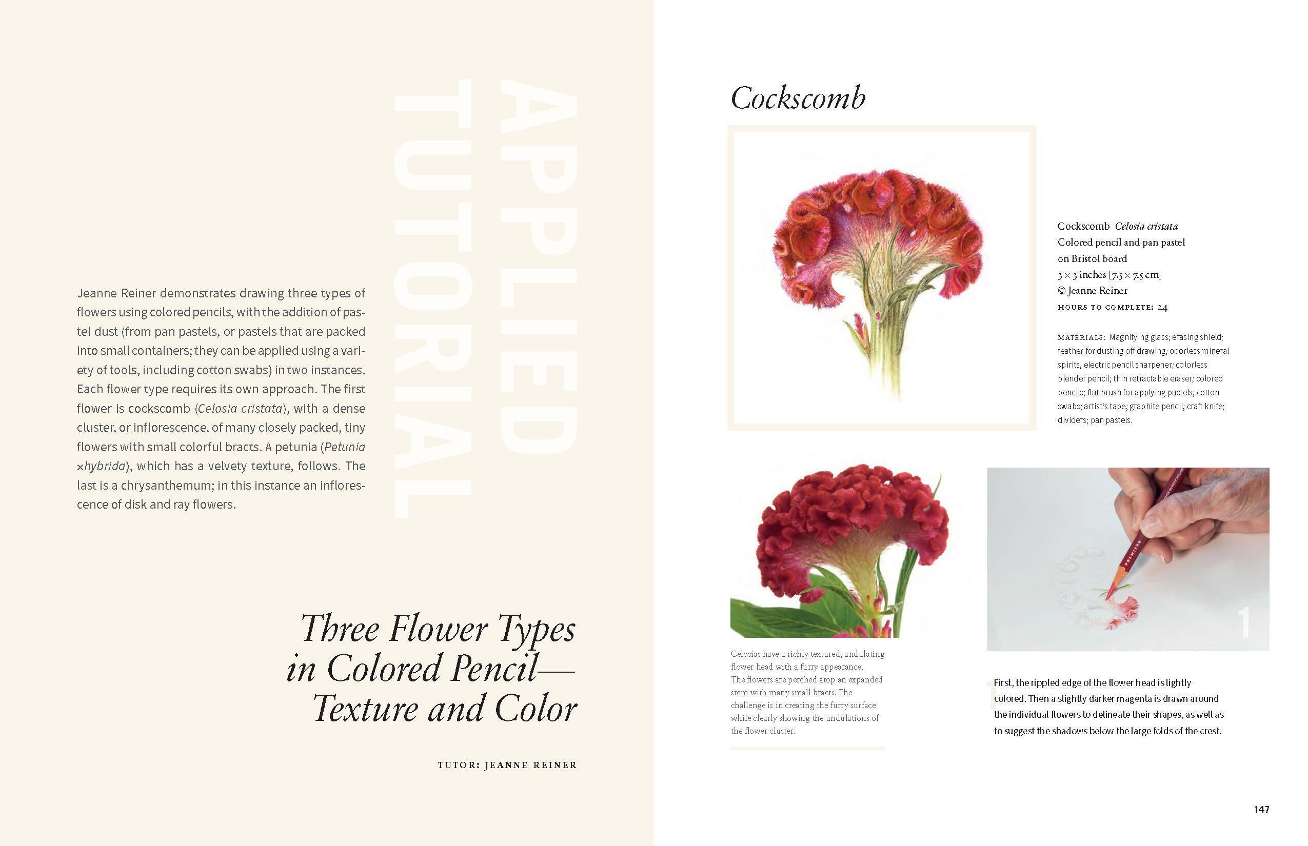 Beispielinhalt (Bild) Botanical Art Techniques