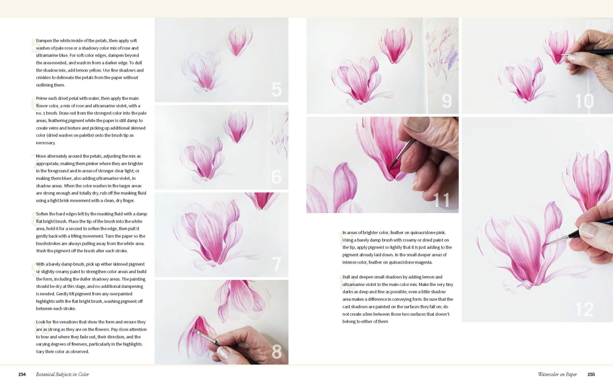 Beispielinhalt (Bild) Botanical Art Techniques