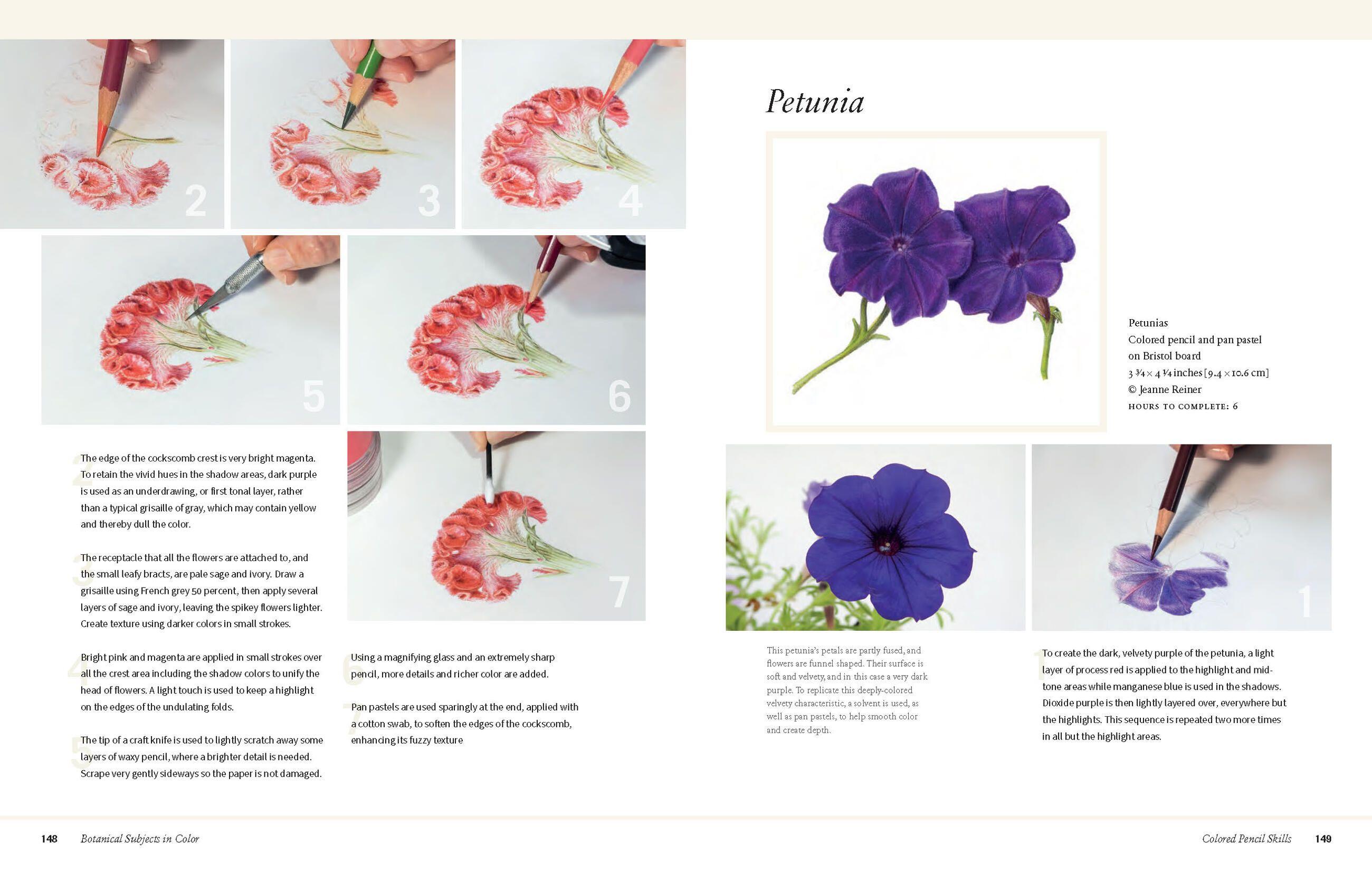 Beispielinhalt (Bild) Botanical Art Techniques