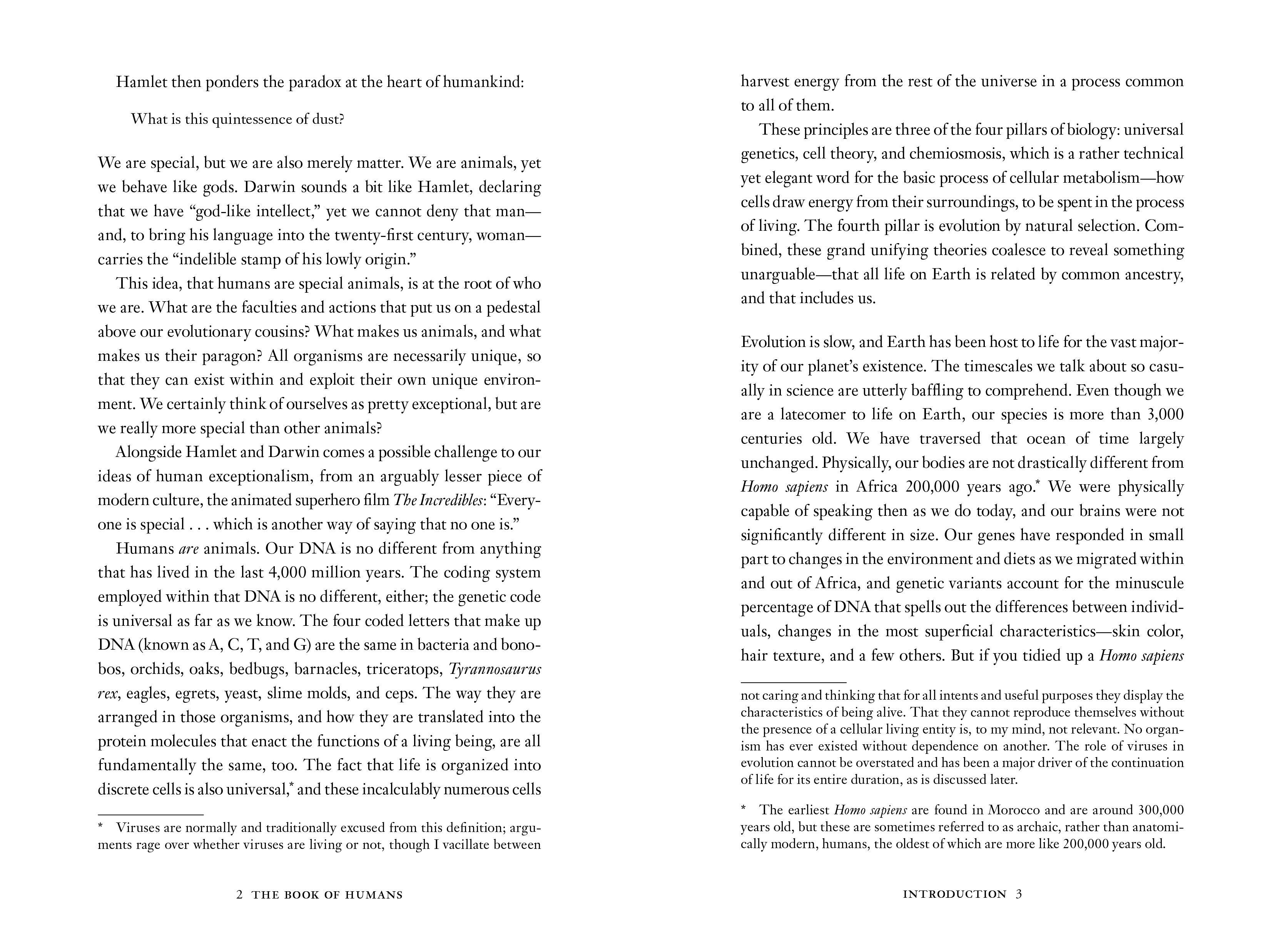 Beispielinhalt (Bild) The Book of Humans