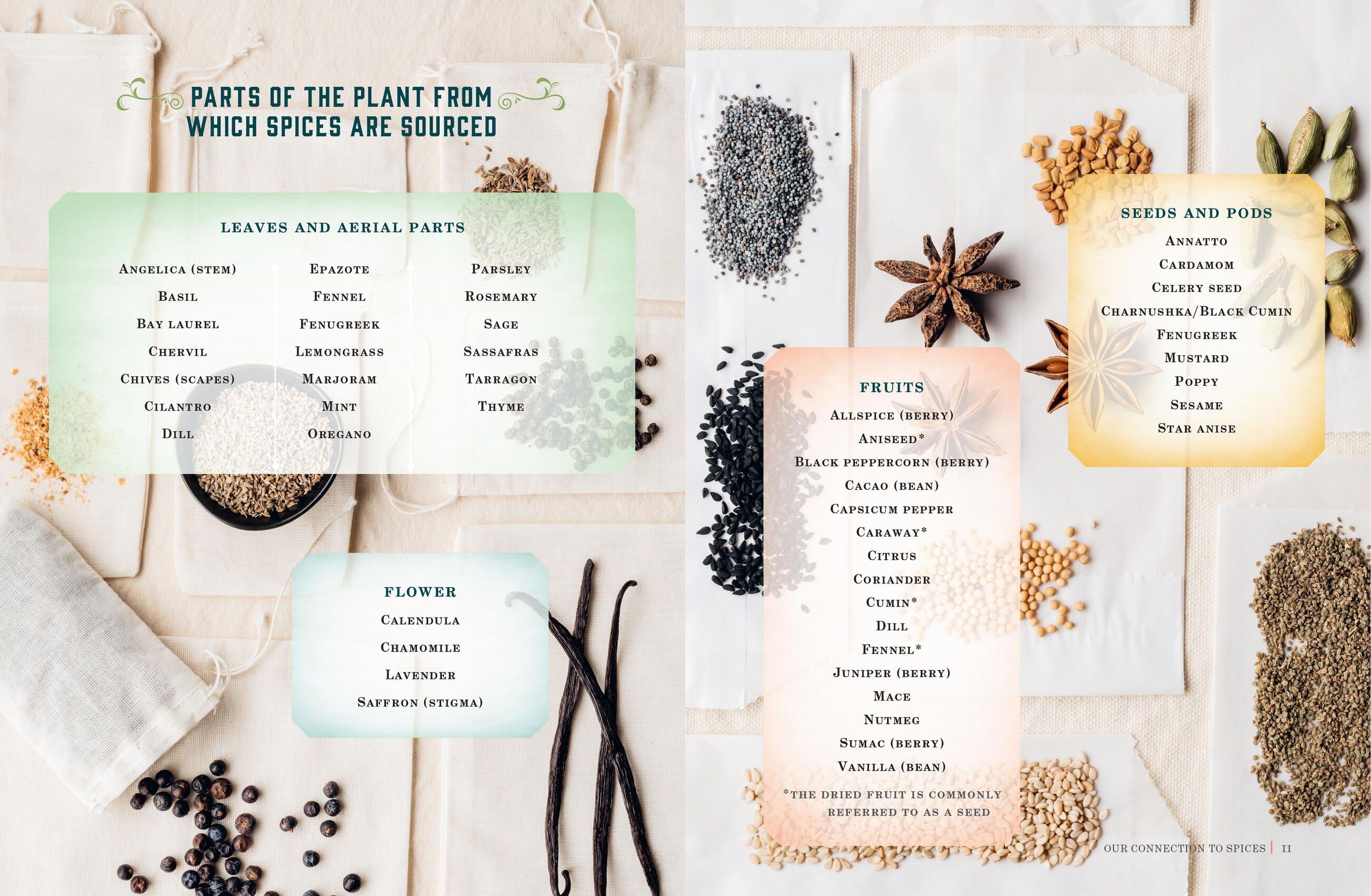 Beispielinhalt (Bild) Spice Apothecary