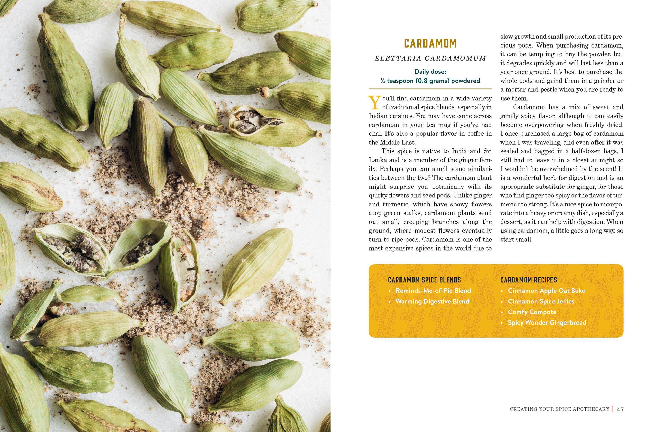 Beispielinhalt (Bild) Spice Apothecary