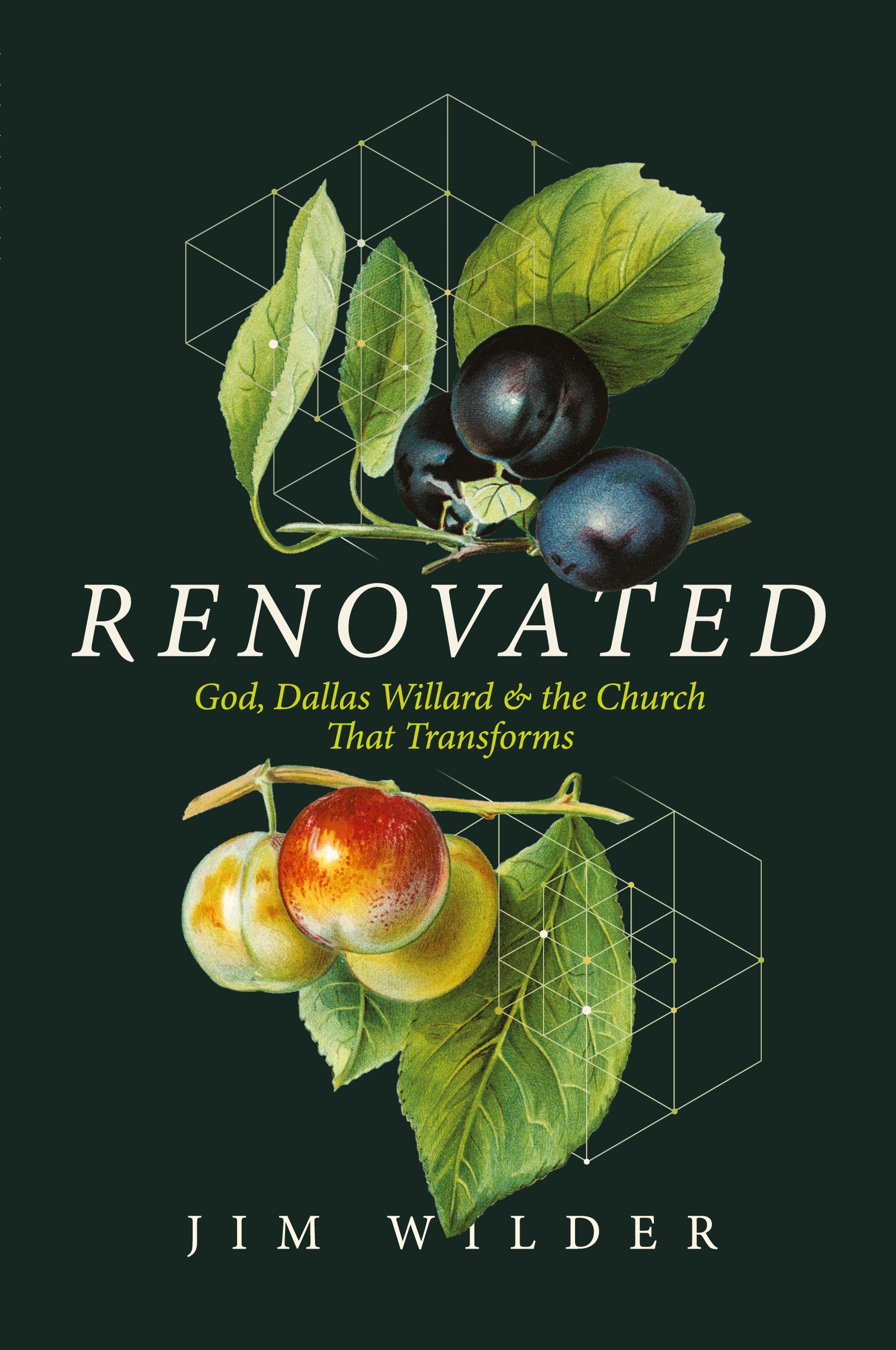 Vorderes Coverbild Renovated