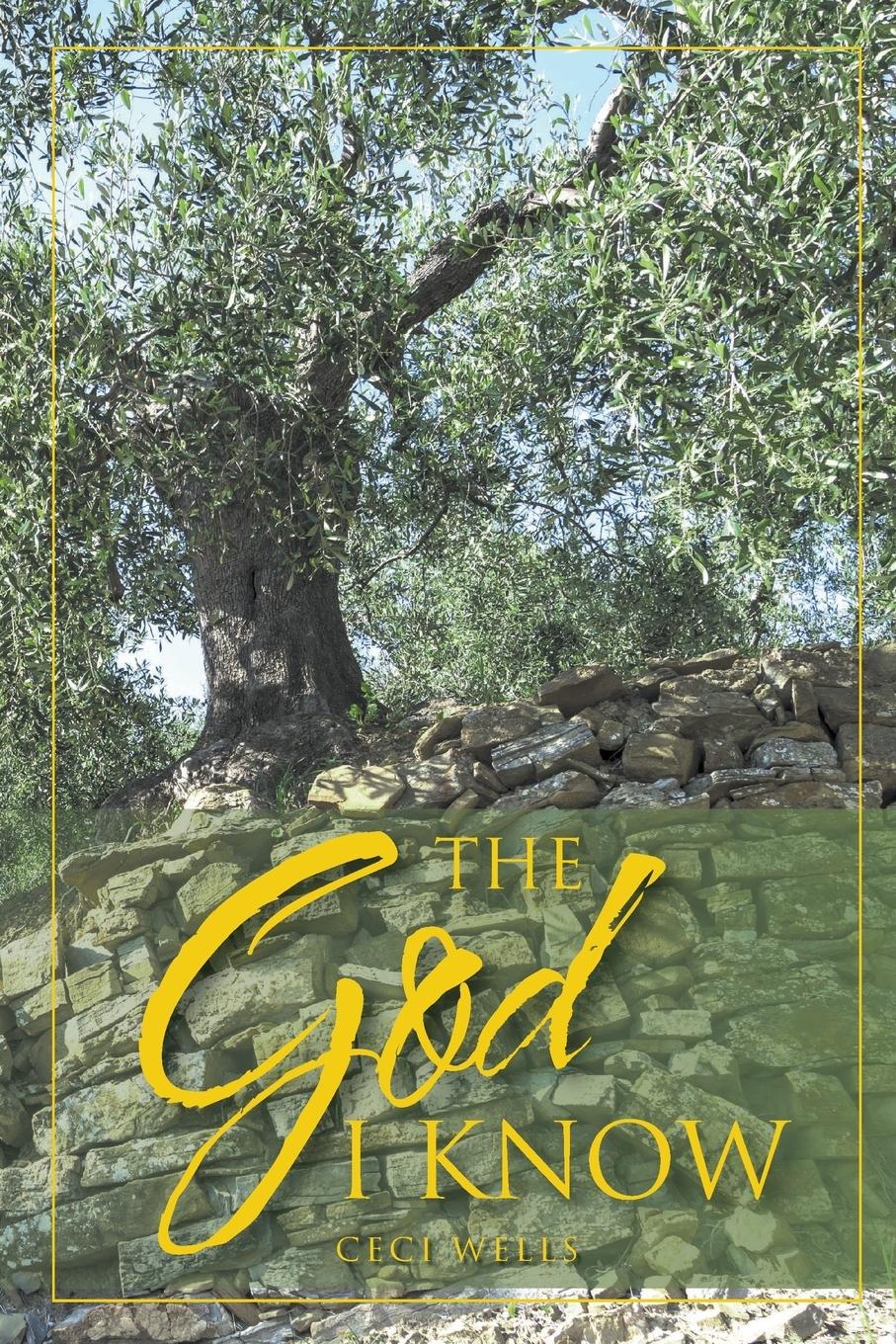Vorderes Coverbild The God I Know