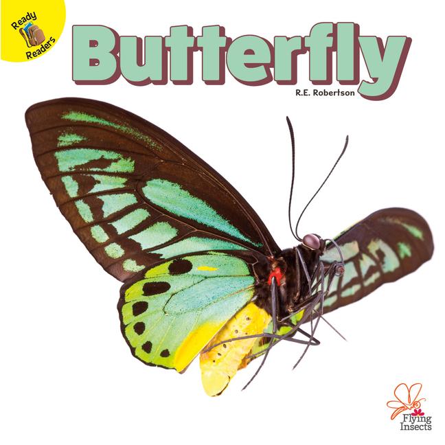 Vorderes Coverbild Butterfly