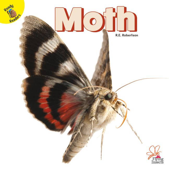 Vorderes Coverbild Moth