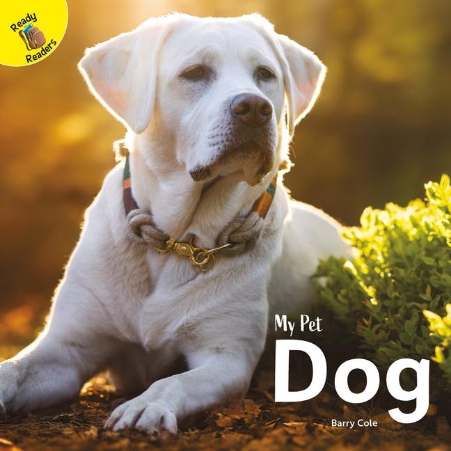 Vorderes Coverbild Dog