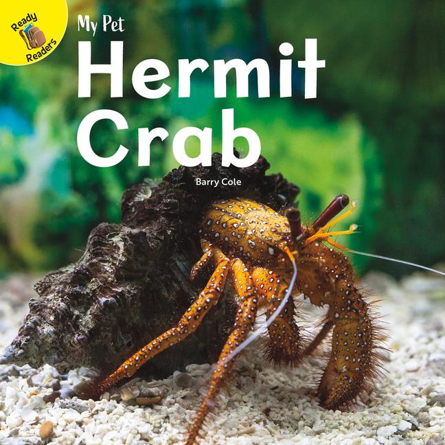 Vorderes Coverbild Hermit Crab