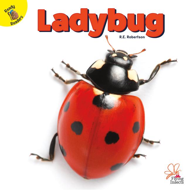Vorderes Coverbild Ladybug