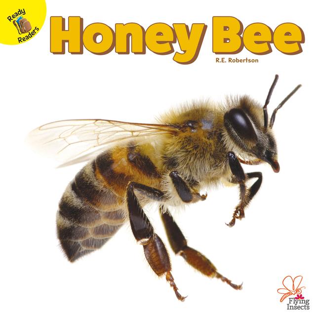 Vorderes Coverbild Honey Bee