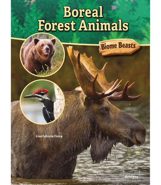 Vorderes Coverbild Boreal Forest Animals