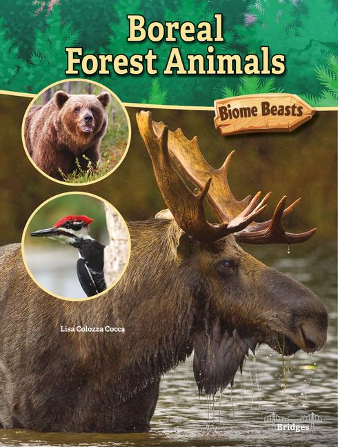 Vorderes Coverbild Boreal Forest Animals