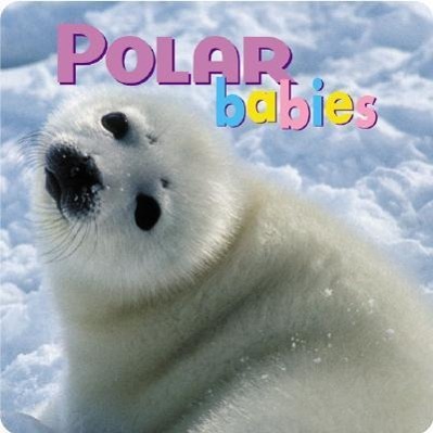 Vorderes Coverbild Polar Babies