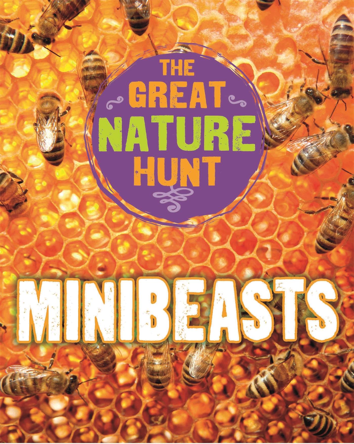 Vorderes Coverbild The Great Nature Hunt: Minibeasts