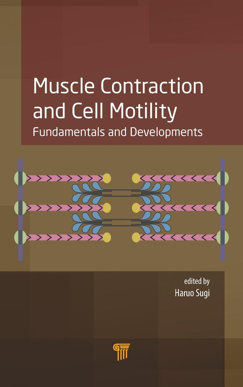 Vorderes Coverbild Muscle Contraction and Cell Motility