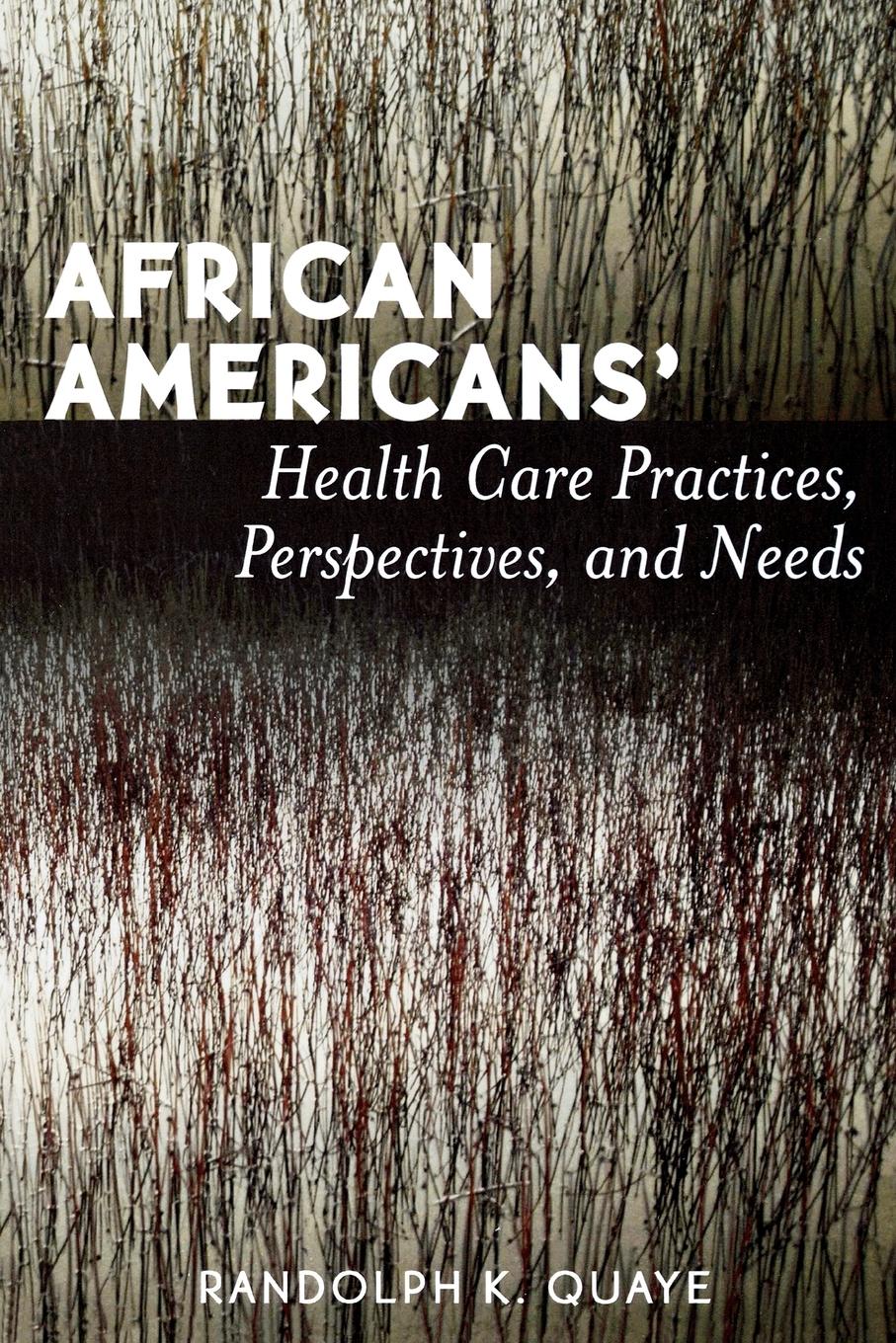 Vorderes Coverbild African Americans' Health Care Practices, Perspectives, and Needs