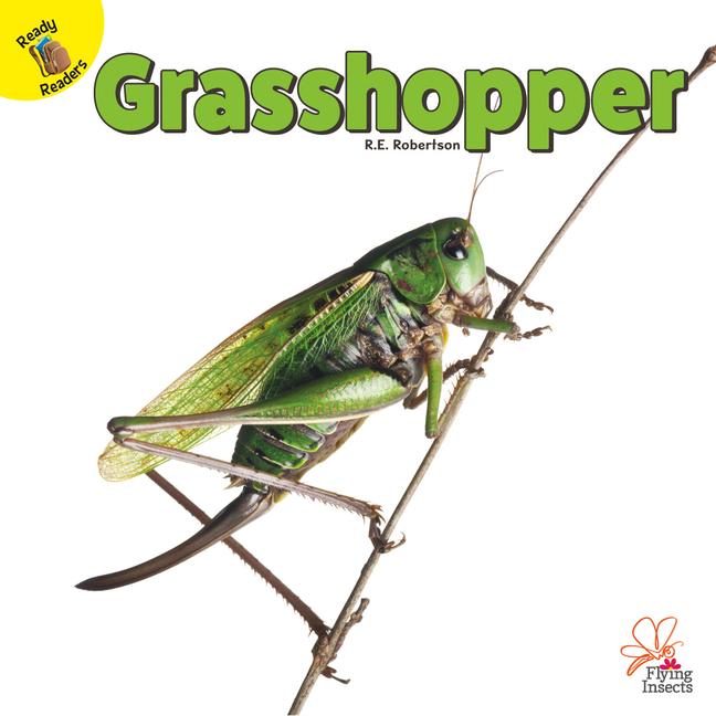Vorderes Coverbild Grasshopper