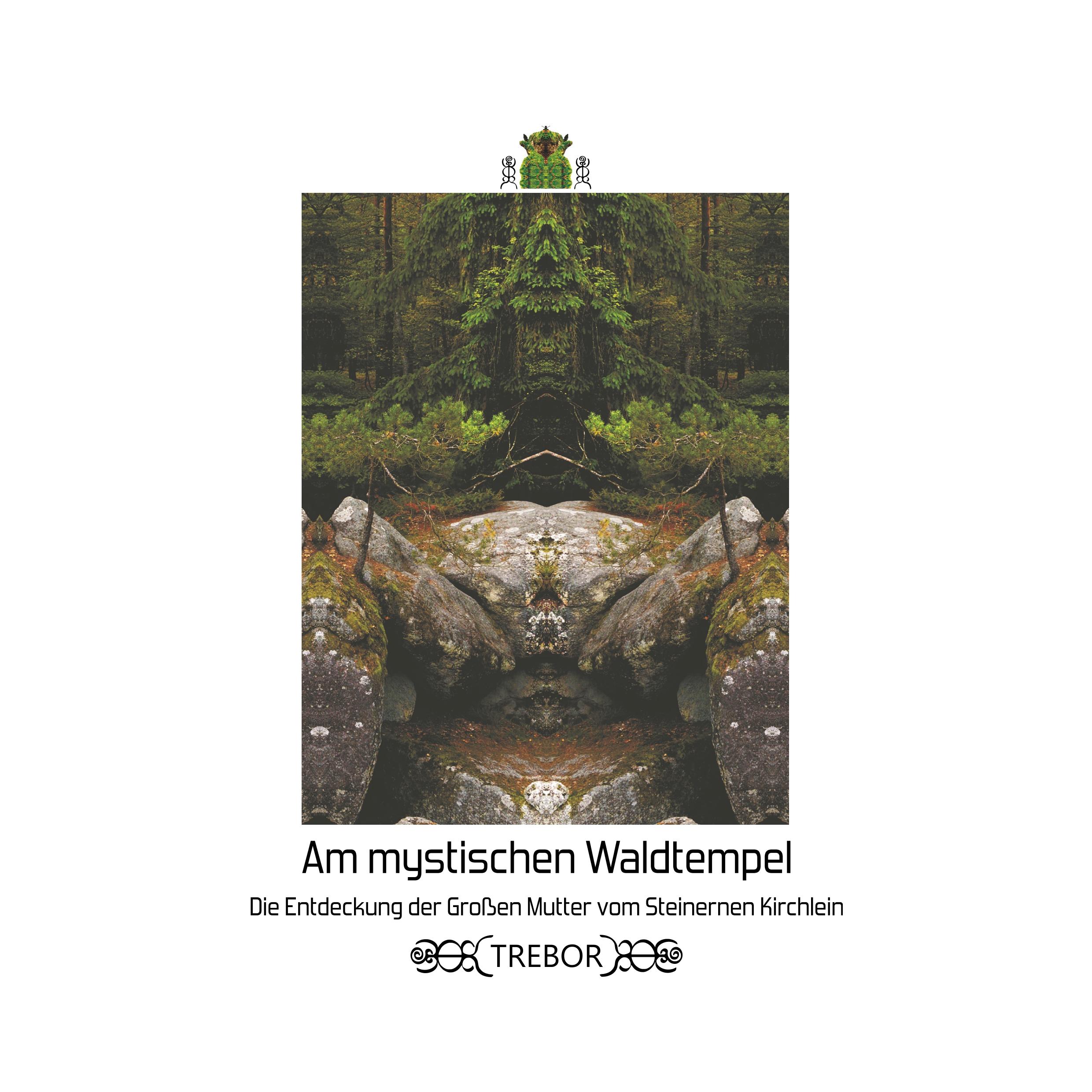 Vorderes Coverbild Am mystischen Waldtempel