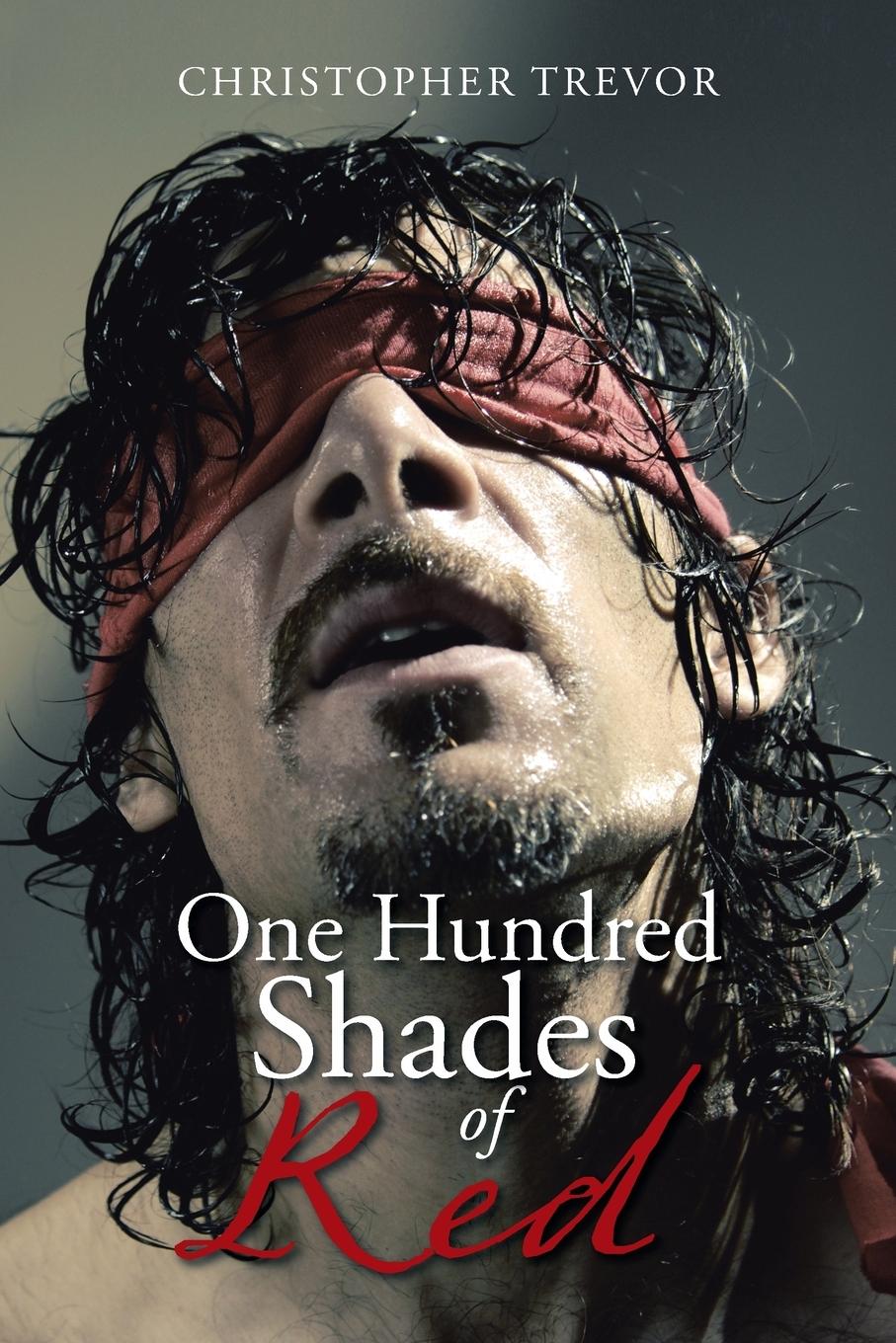 Vorderes Coverbild One Hundred Shades of Red