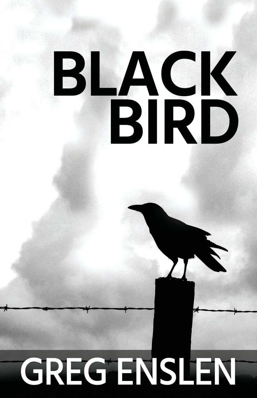 Vorderes Coverbild Black Bird