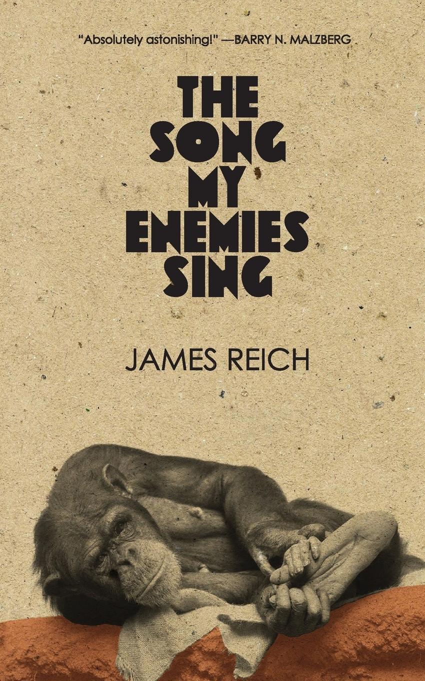 Vorderes Coverbild The Song My Enemies Sing