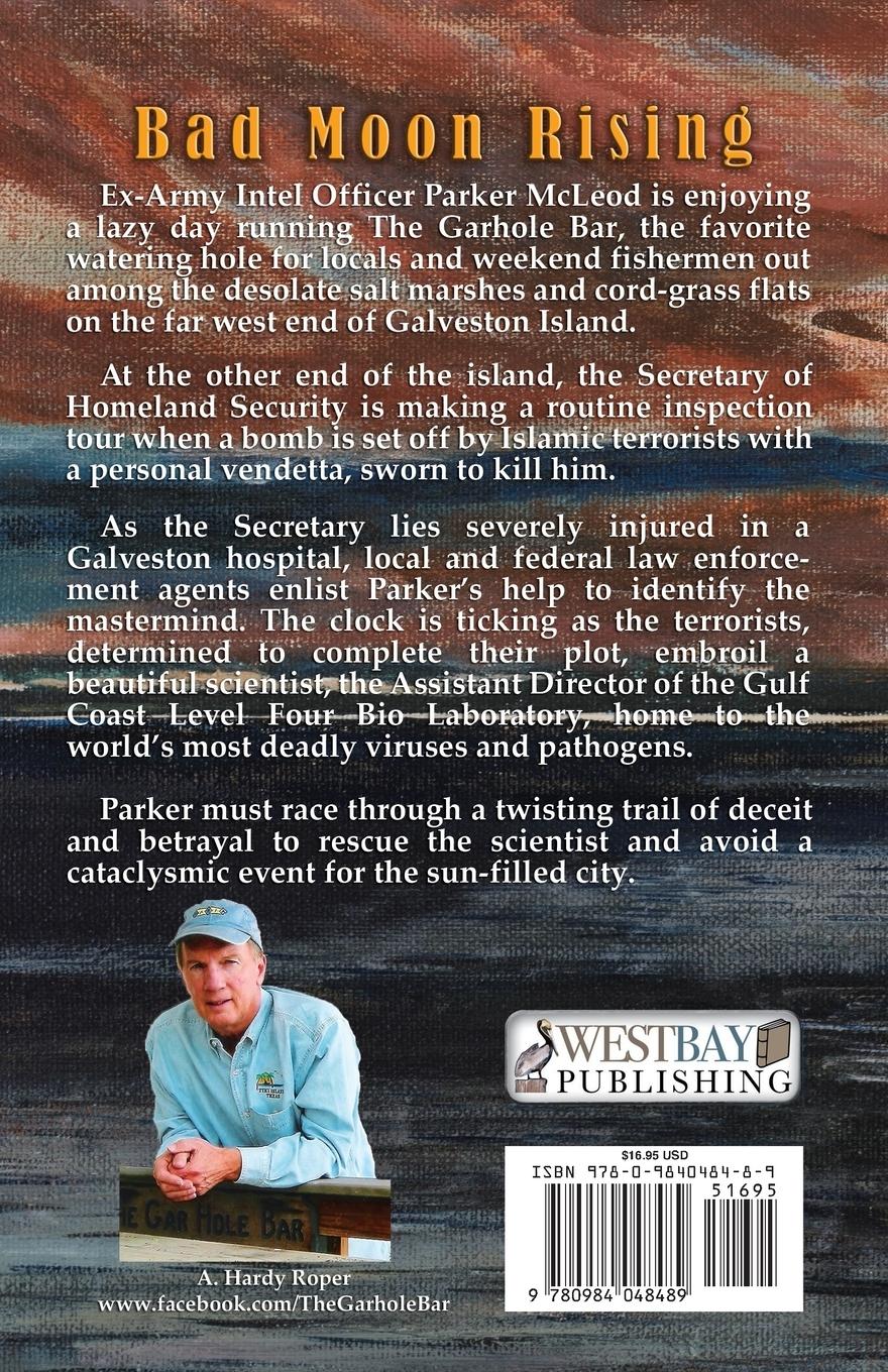 Rückseitencover Bad Moon Rising(TM)