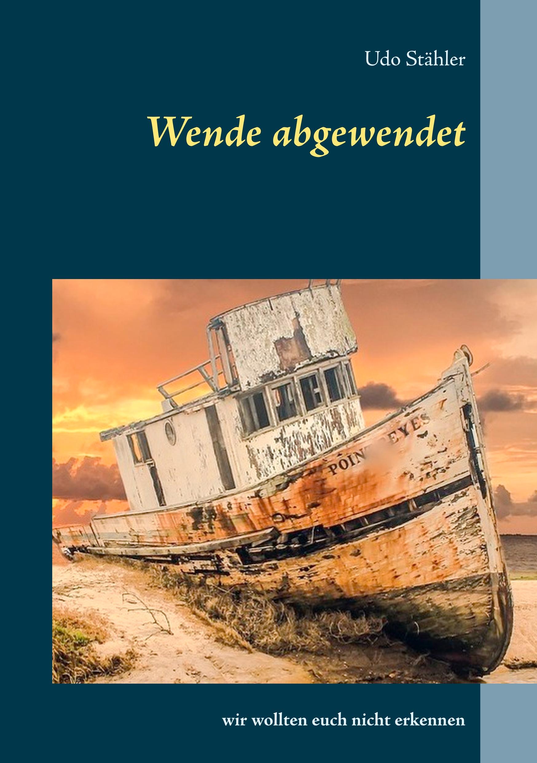 Vorderes Coverbild Wende abgewendet