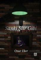 Vorderes Coverbild Sanki Siir Gibi