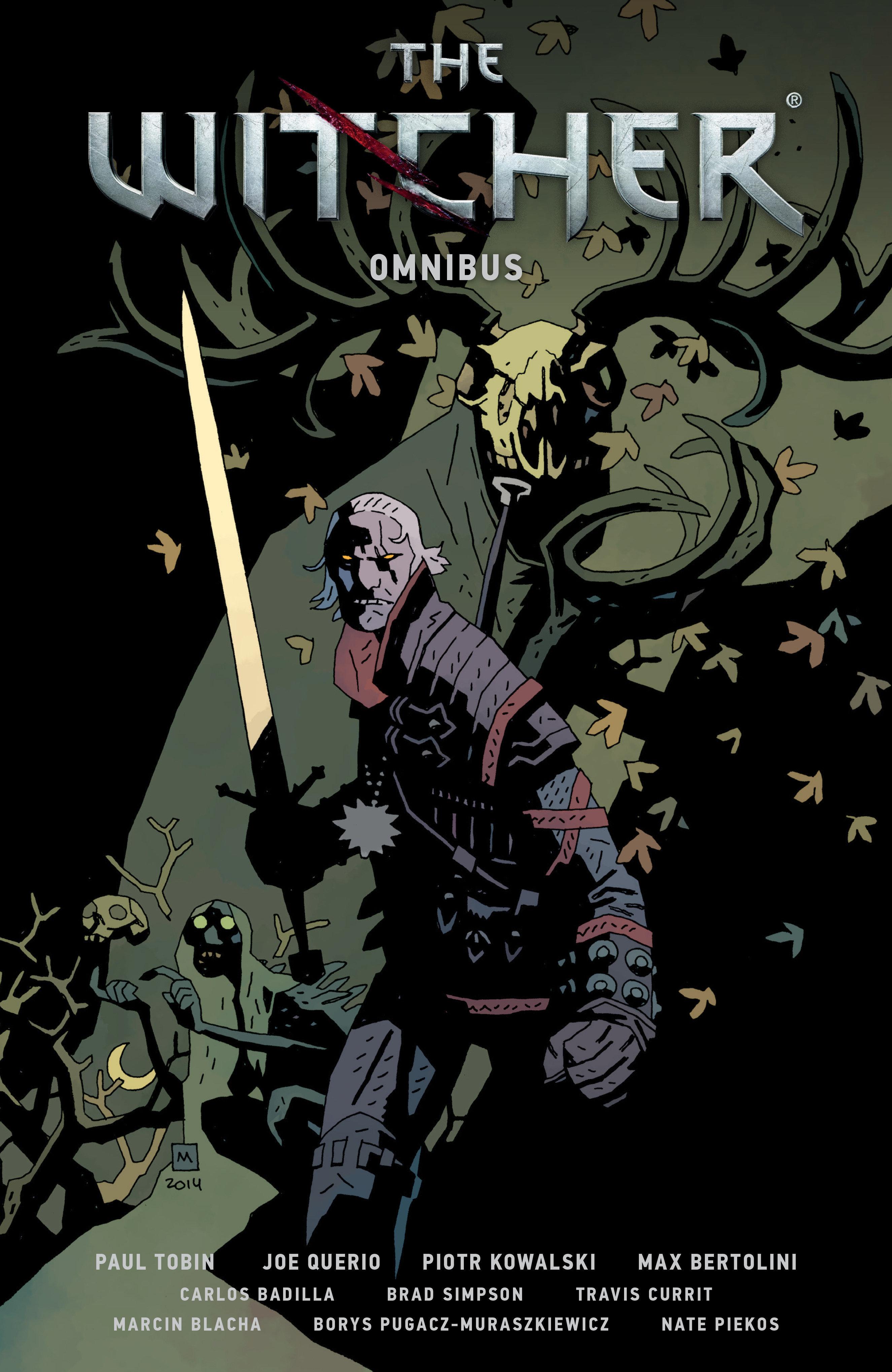 Vorderes Coverbild The Witcher Omnibus