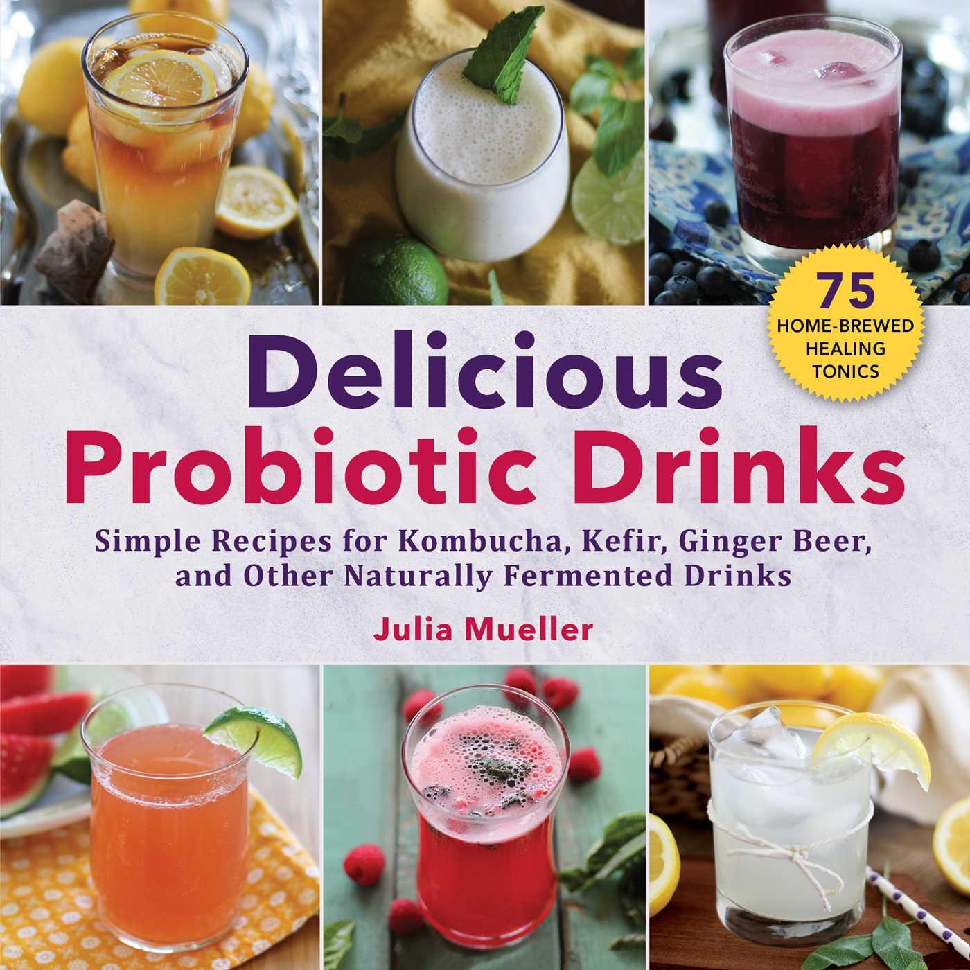 Vorderes Coverbild Delicious Probiotic Drinks