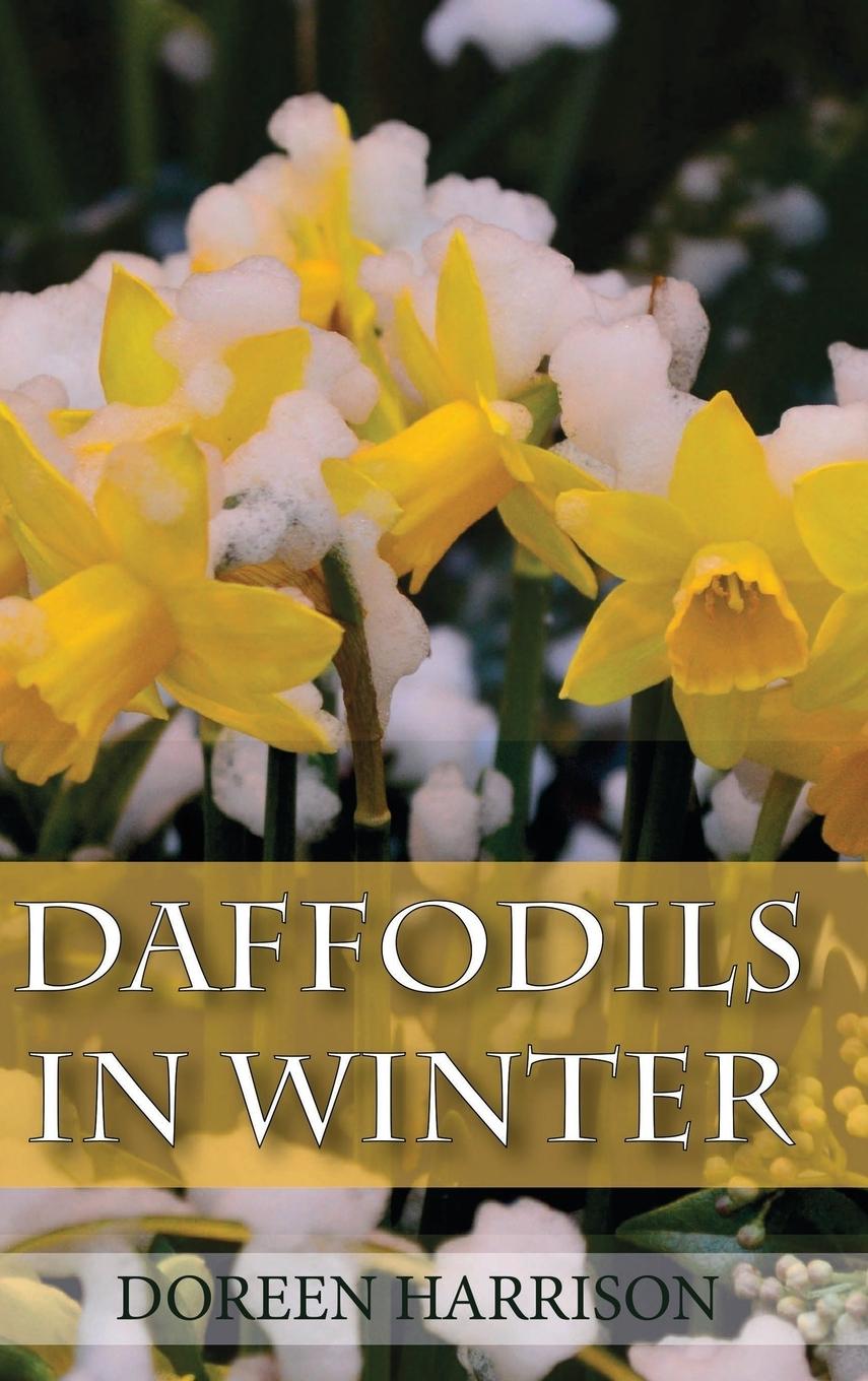 Vorderes Coverbild Daffodils in Winter