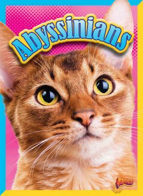 Vorderes Coverbild Abyssinians