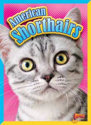 Vorderes Coverbild American Shorthairs