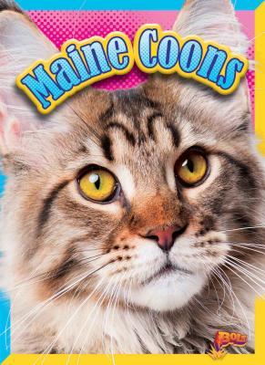 Vorderes Coverbild Maine Coons