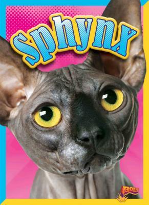 Vorderes Coverbild Sphynx