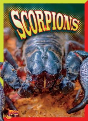 Vorderes Coverbild Scorpions