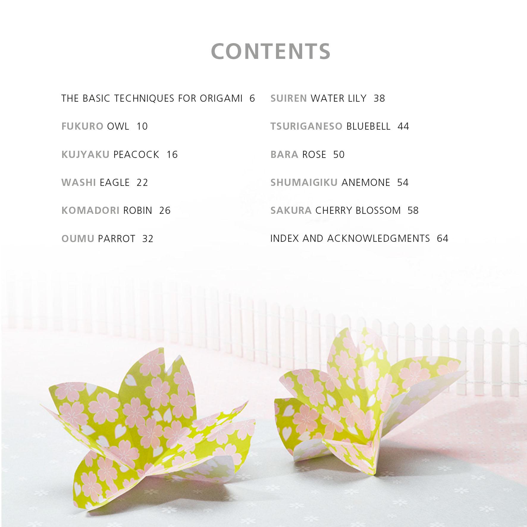 Beispielinhalt (Bild) Origami Flowers and Birds