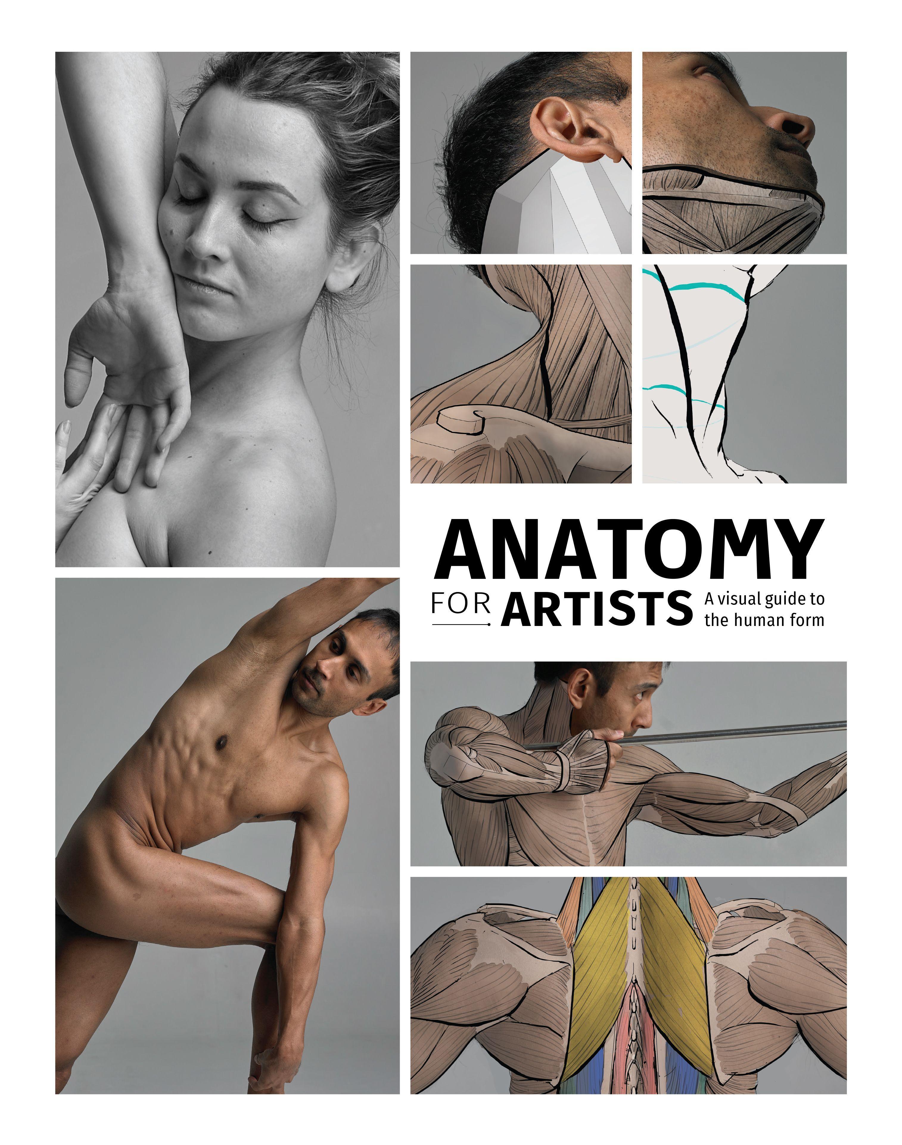 Vorderes Coverbild Anatomy for Artists
