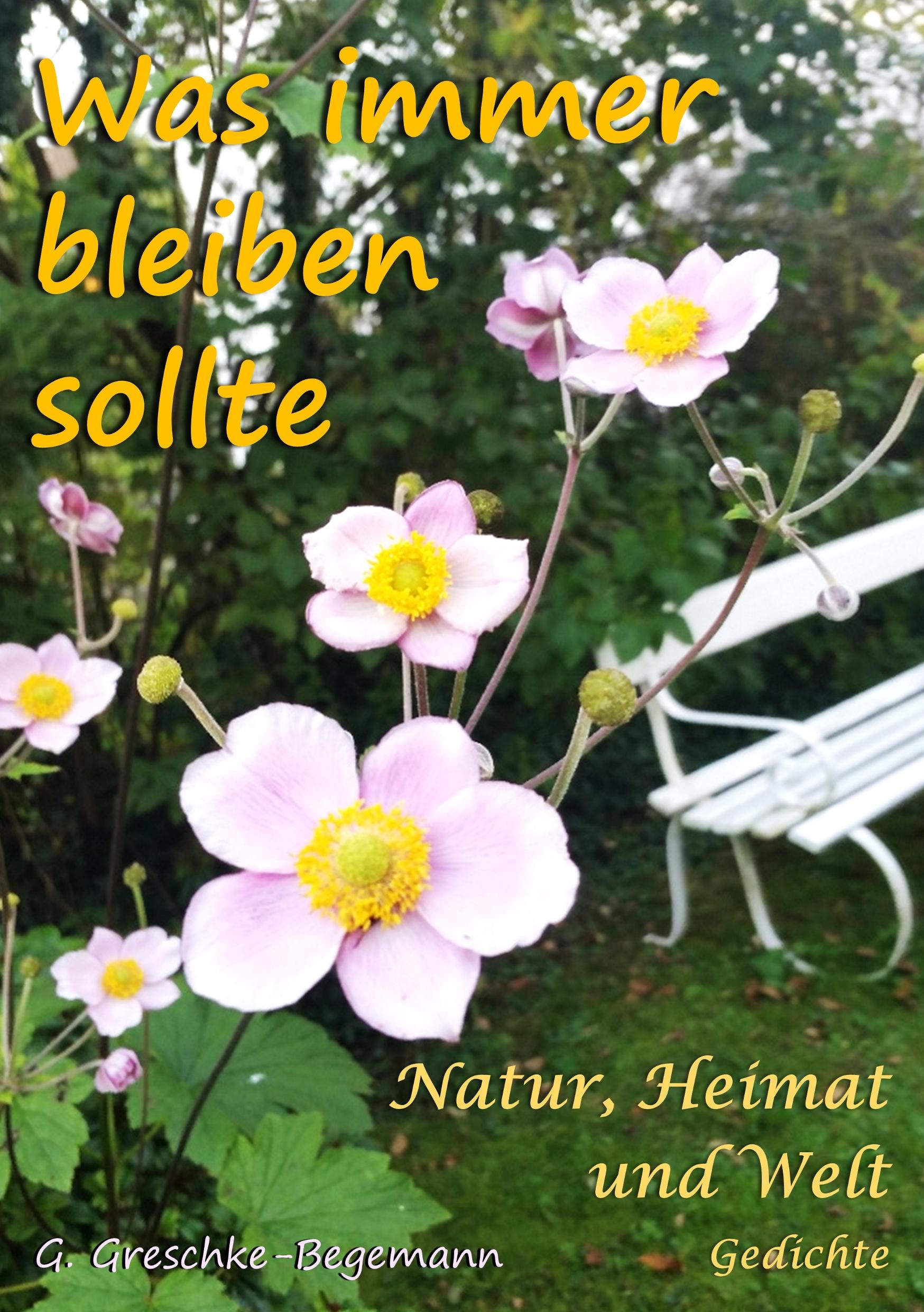 Vorderes Coverbild Was immer bleiben sollte