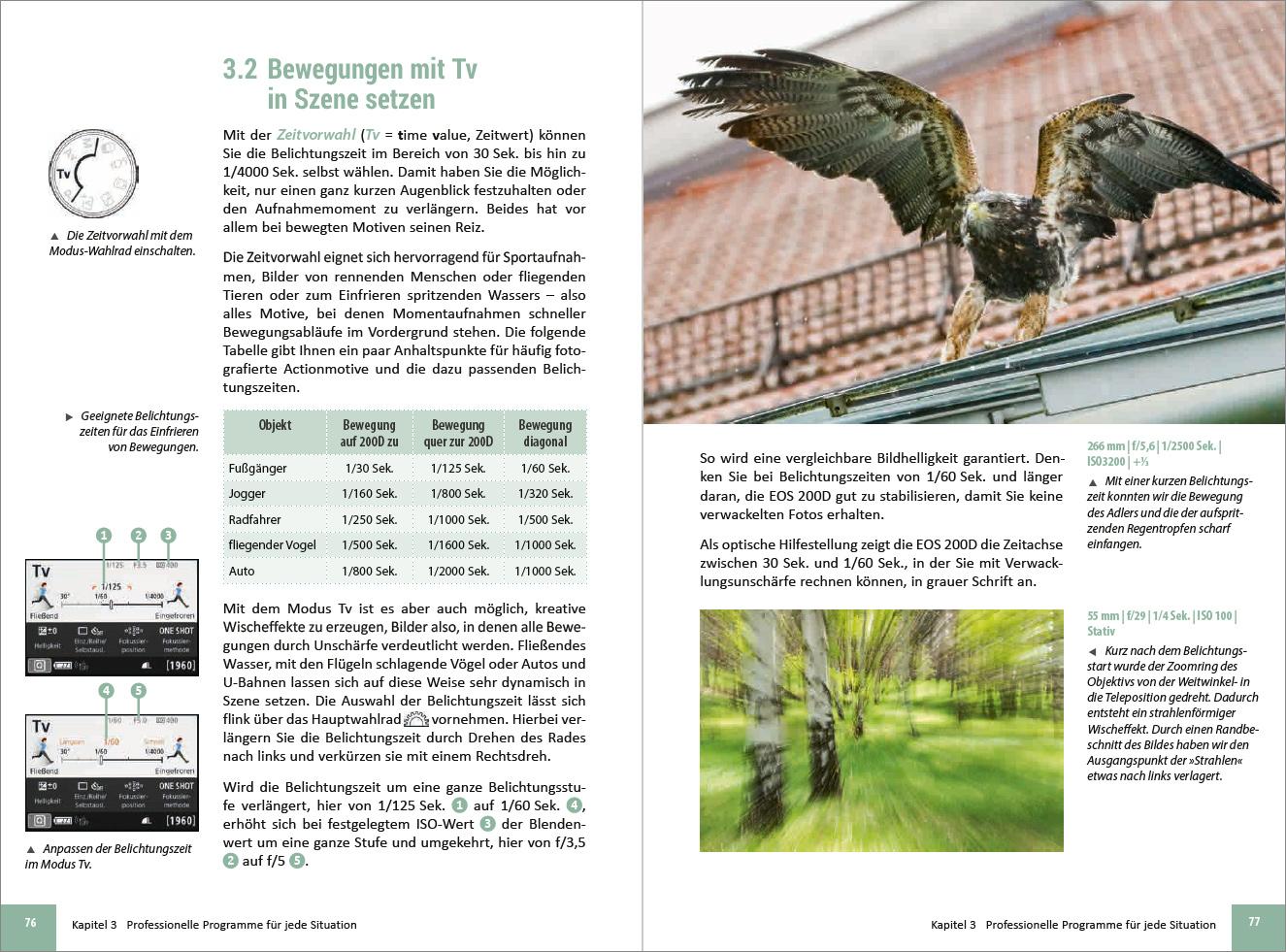 Beispielinhalt (Bild) Canon EOS 200D / 250D