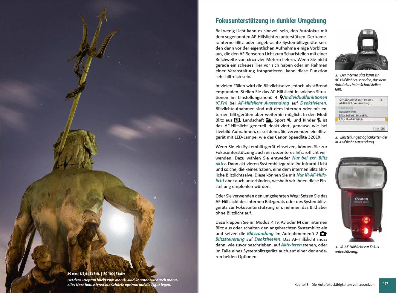 Beispielinhalt (Bild) Canon EOS 200D / 250D